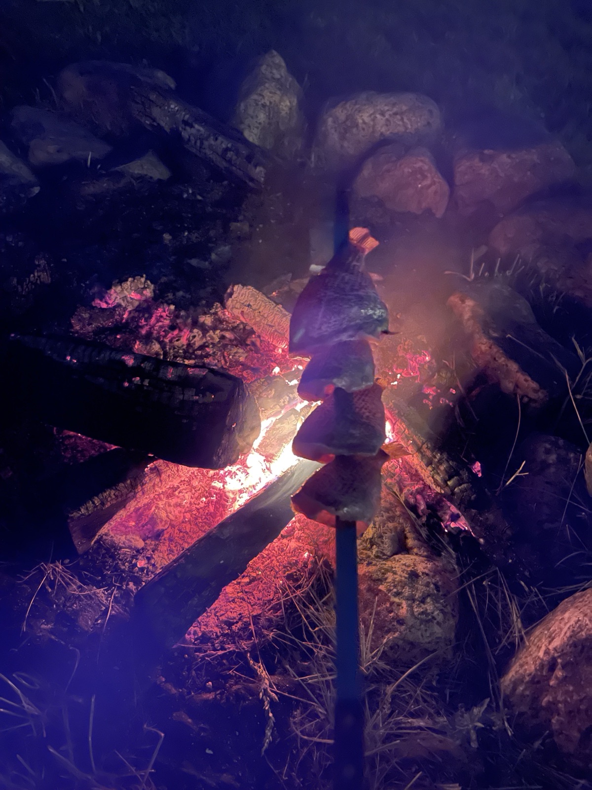 Food roasting over the glowing outdoor campfire